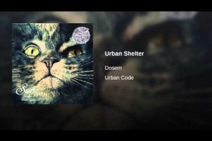 Urban Shelter