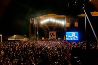 Rabolagartija Festival