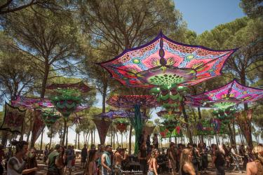 Transition Festival 2021